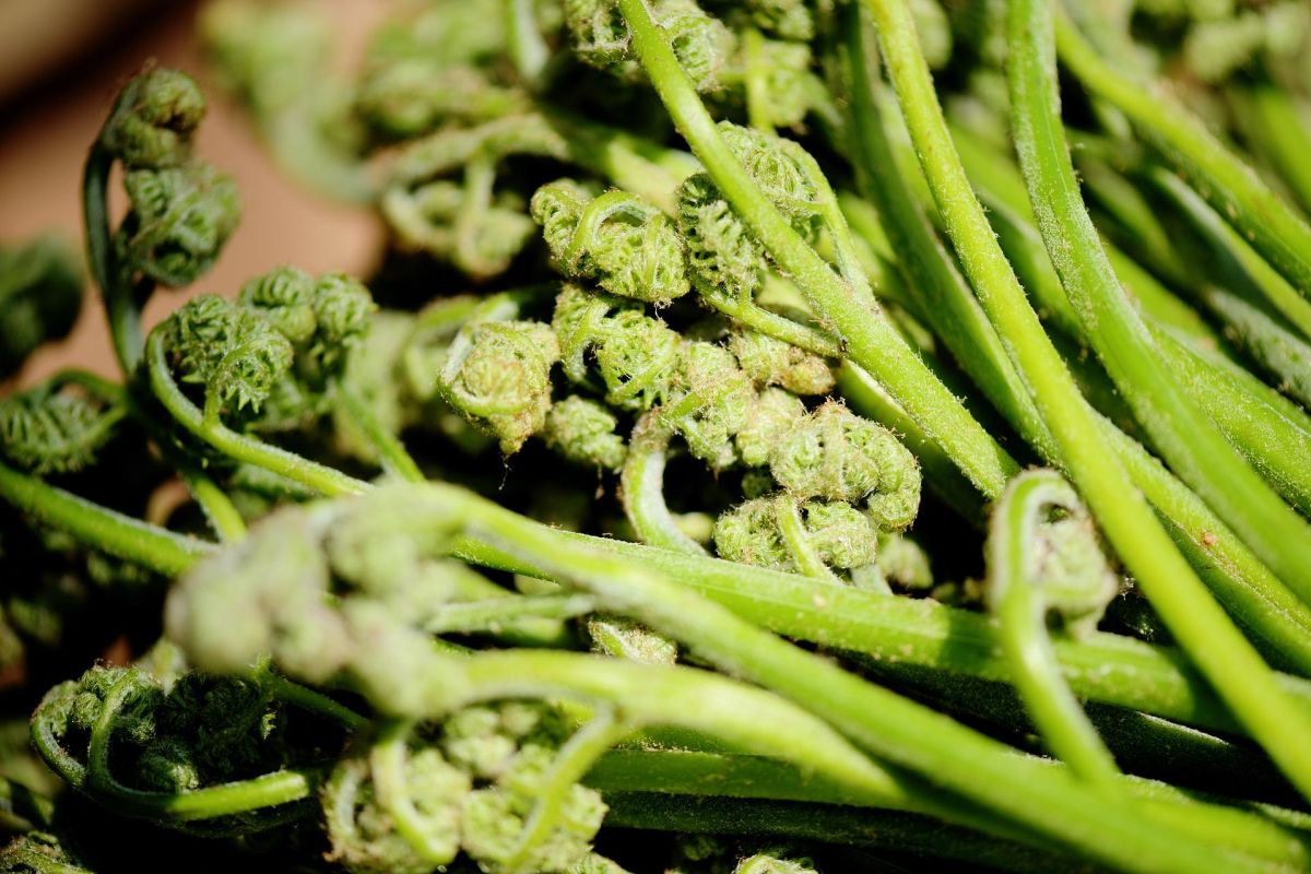 Гастротур "Знакомство с Тихоокеанской кухней"