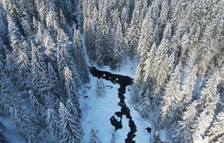 Тур на 3 дня Новый Год в эко-Карелии