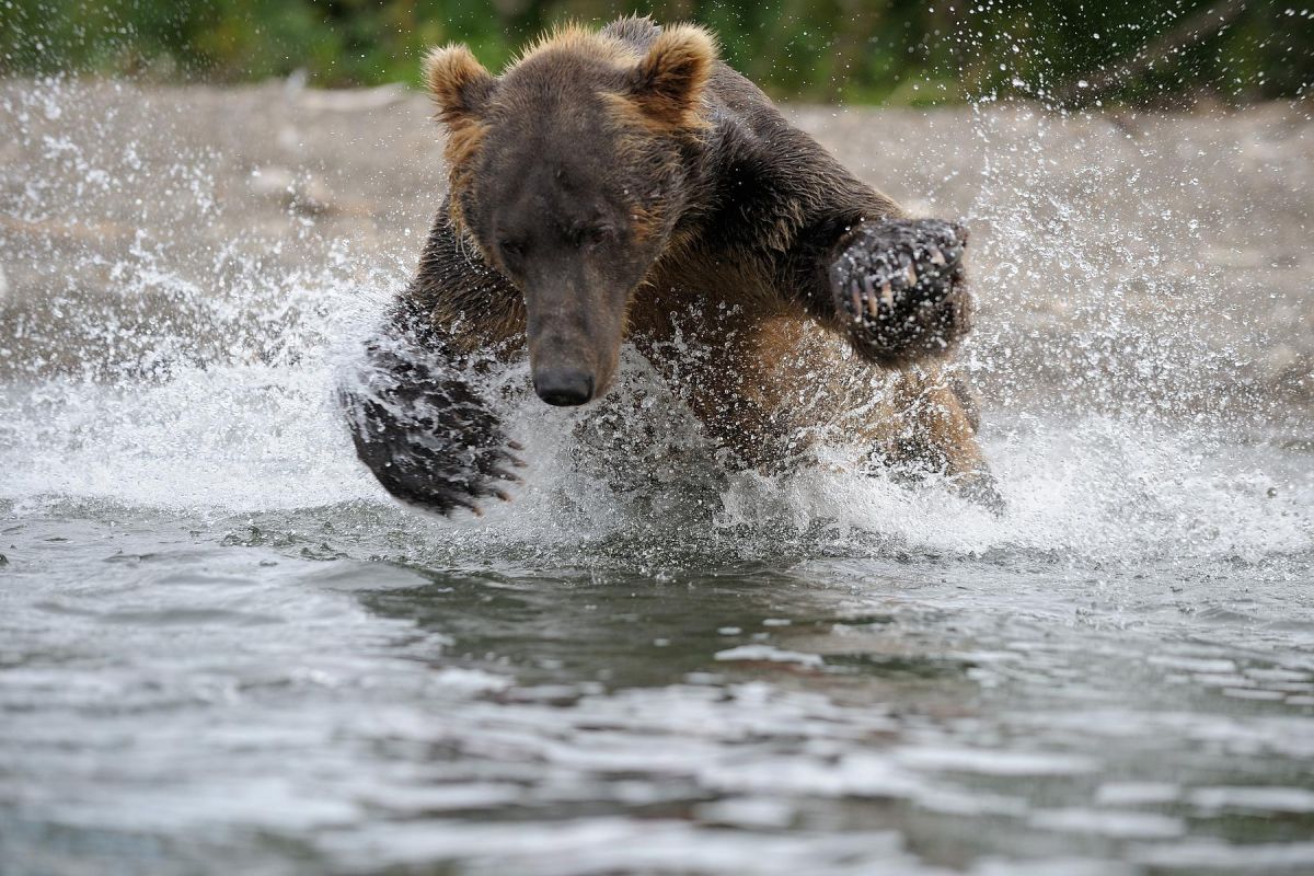 Курильское озеро, кальдера вулкана Ксудач и Ходутка (на вертолете)
