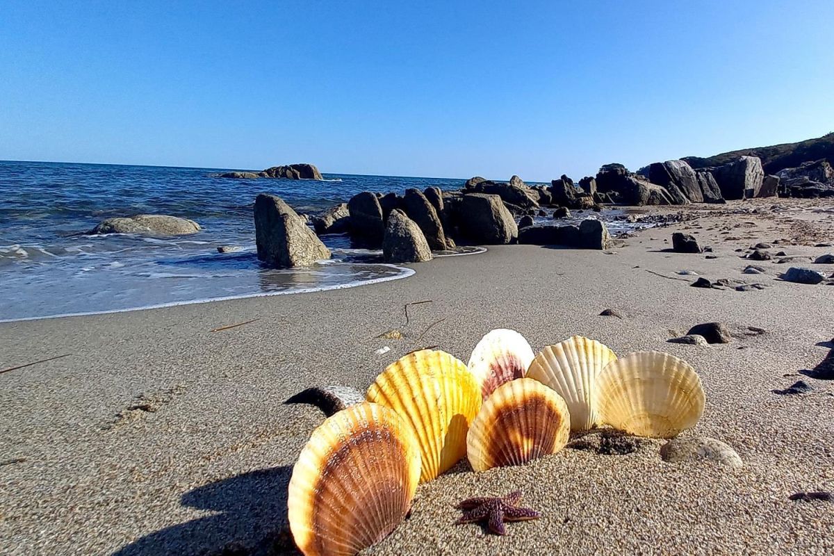 Тур-приключение по Приморью «Четыре истории»