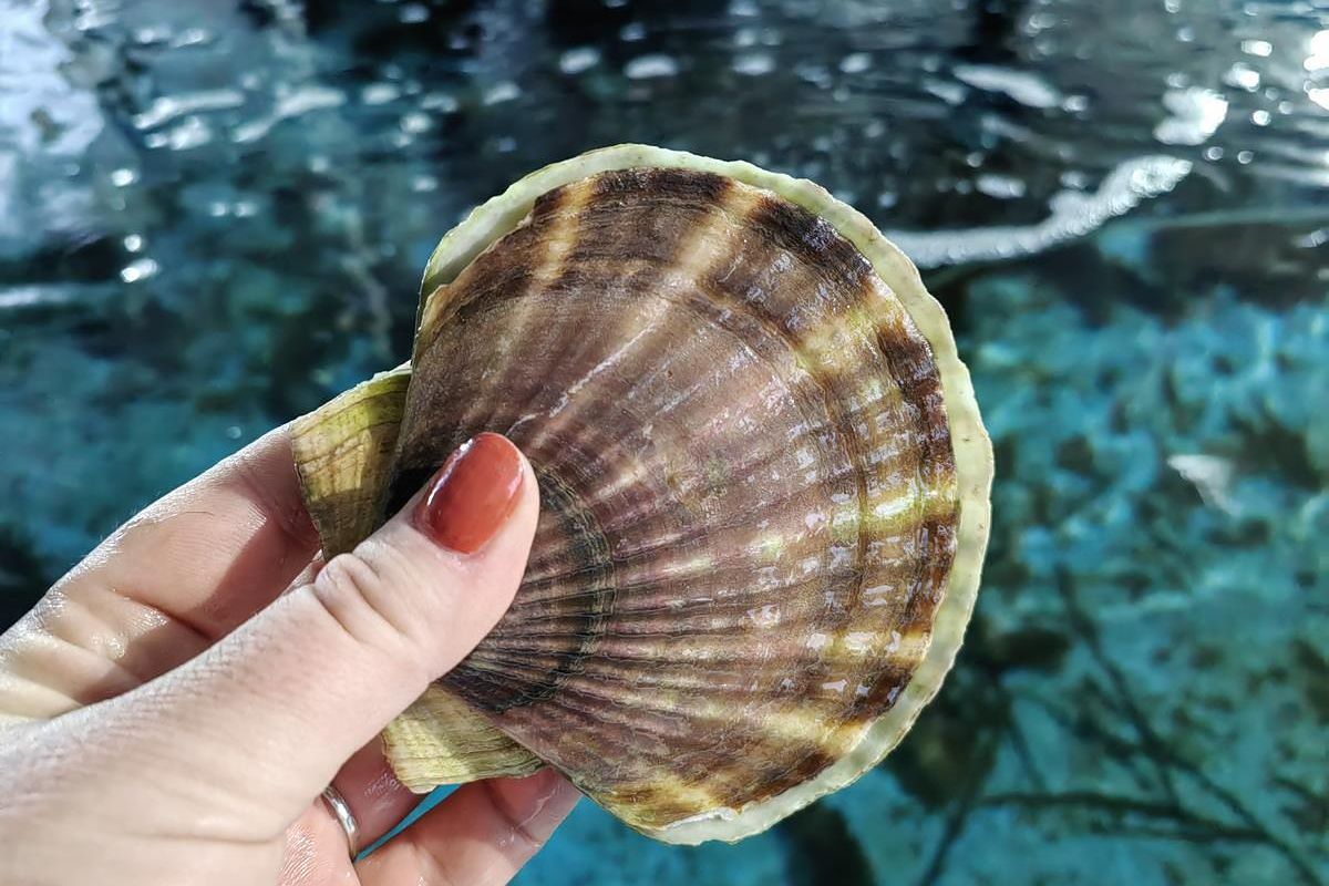 Вкусный Владивосток