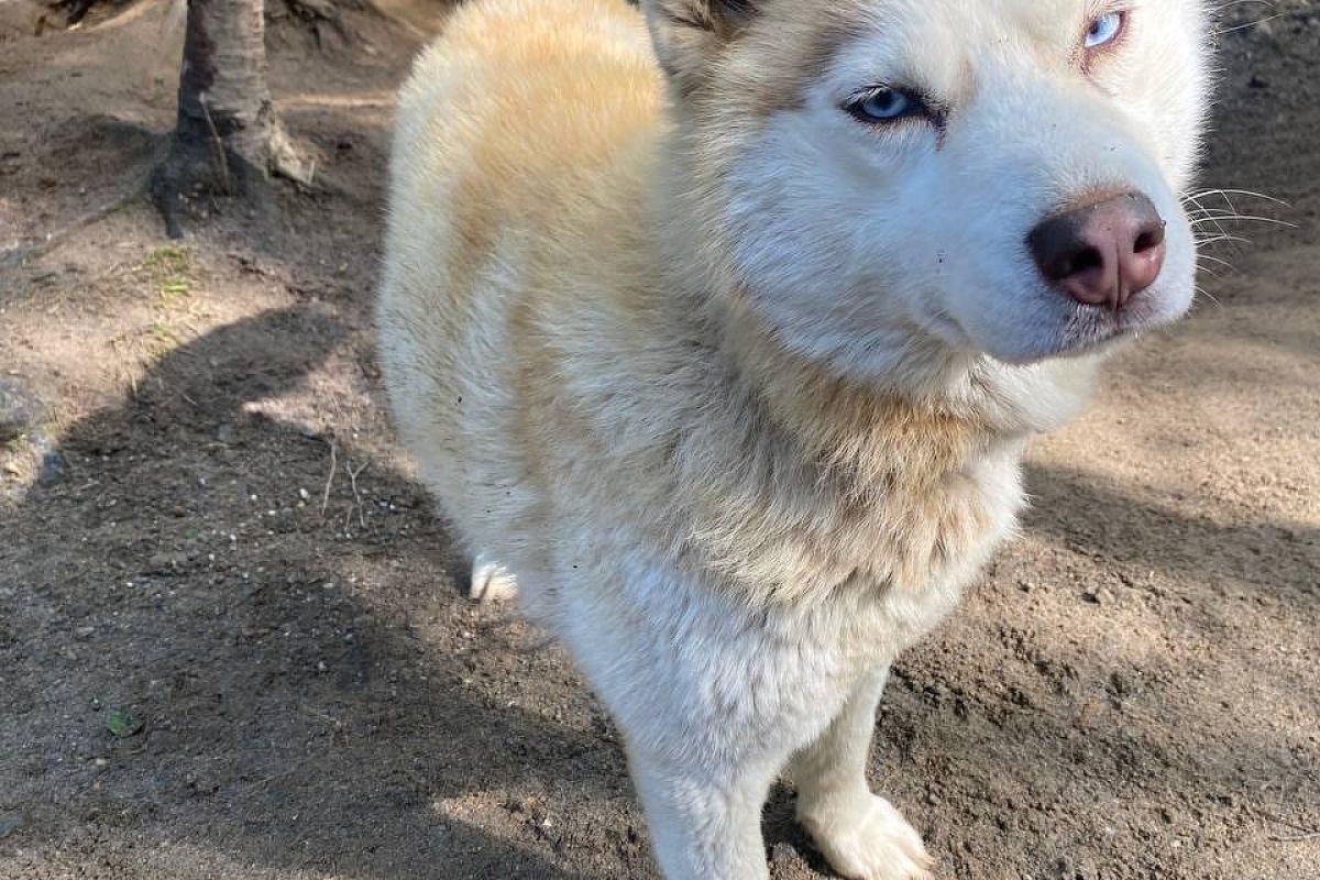 В Мурманске весна: Териберка - морская прогулка