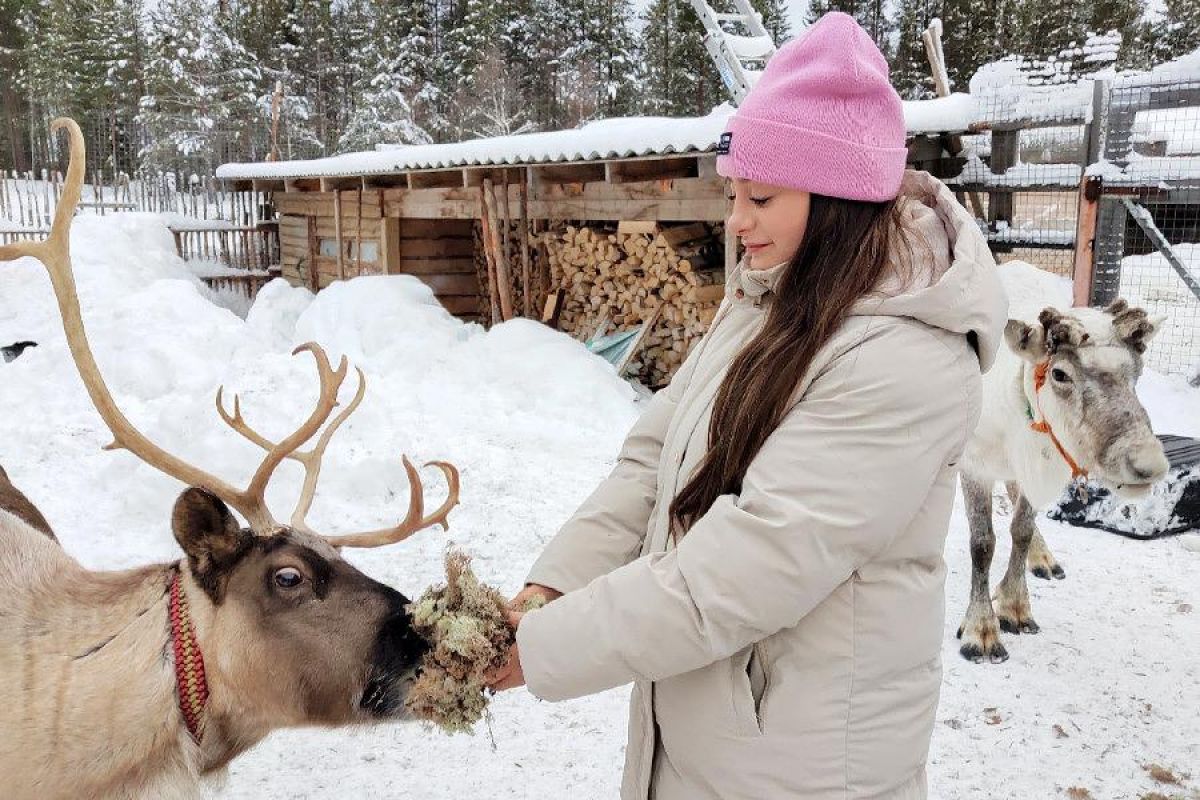 Новогодний тур 2026 в Мурманск!