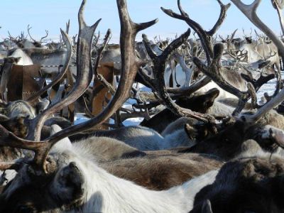 На край земли