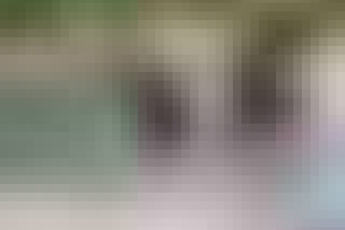 Курильское озеро, кальдера вулкана Ксудач и Ходутка (на вертолете)