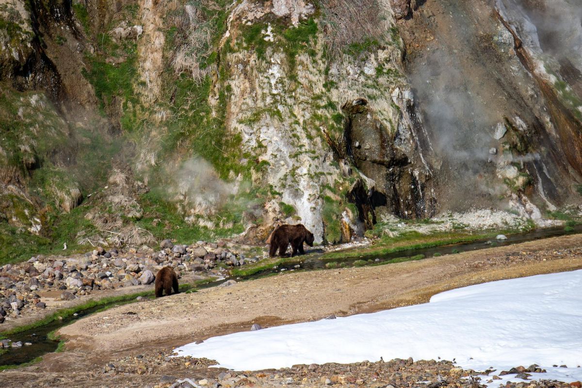 Вертолетная экскурсия в Долину гейзеров (Кроноцкий заповедник)