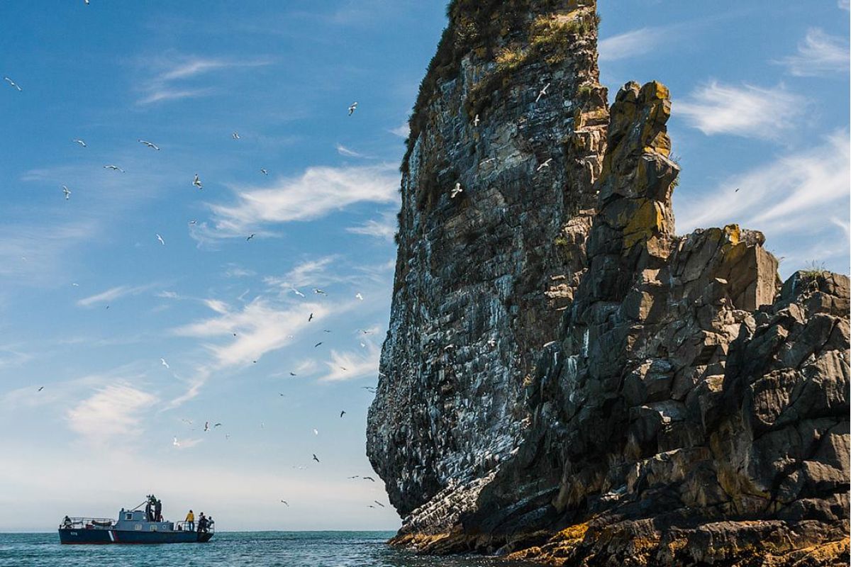 Гастротур "Знакомство с Тихоокеанской кухней"