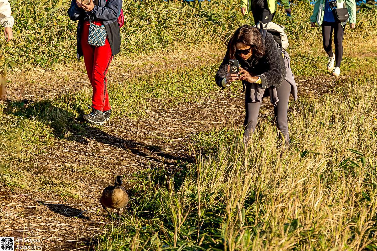 Кунашир и Шикотан. Путешествие на другую планету