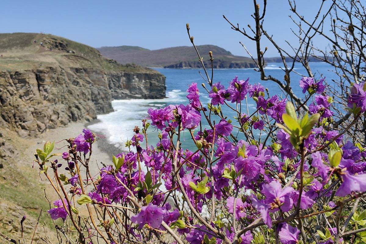 Мыс Тобизина: по тропе к океану!