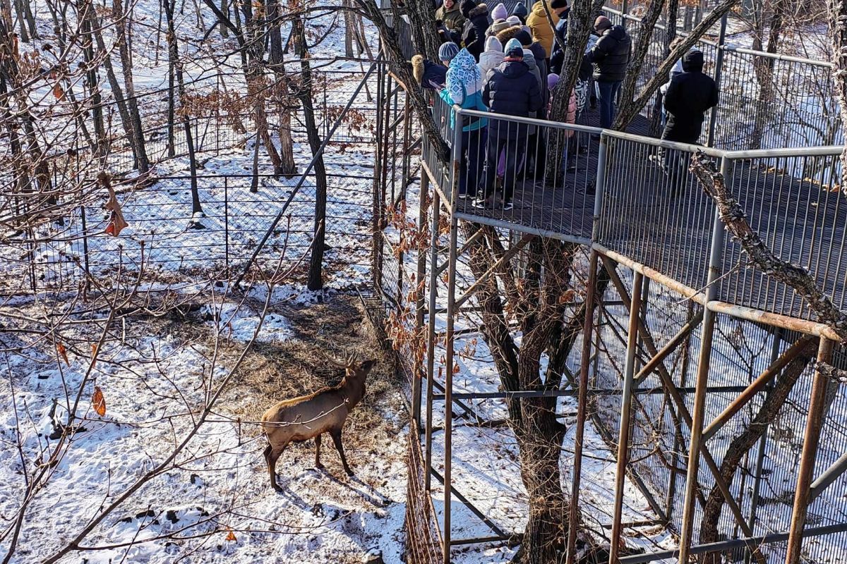 Приморский Сафари-парк и бухта «Стекляшка»