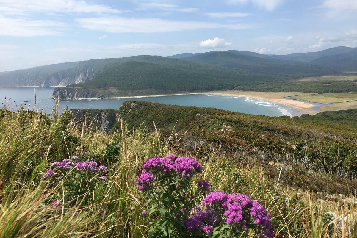 Сихотэ-Алинский заповедник: по следам амурского тигра!