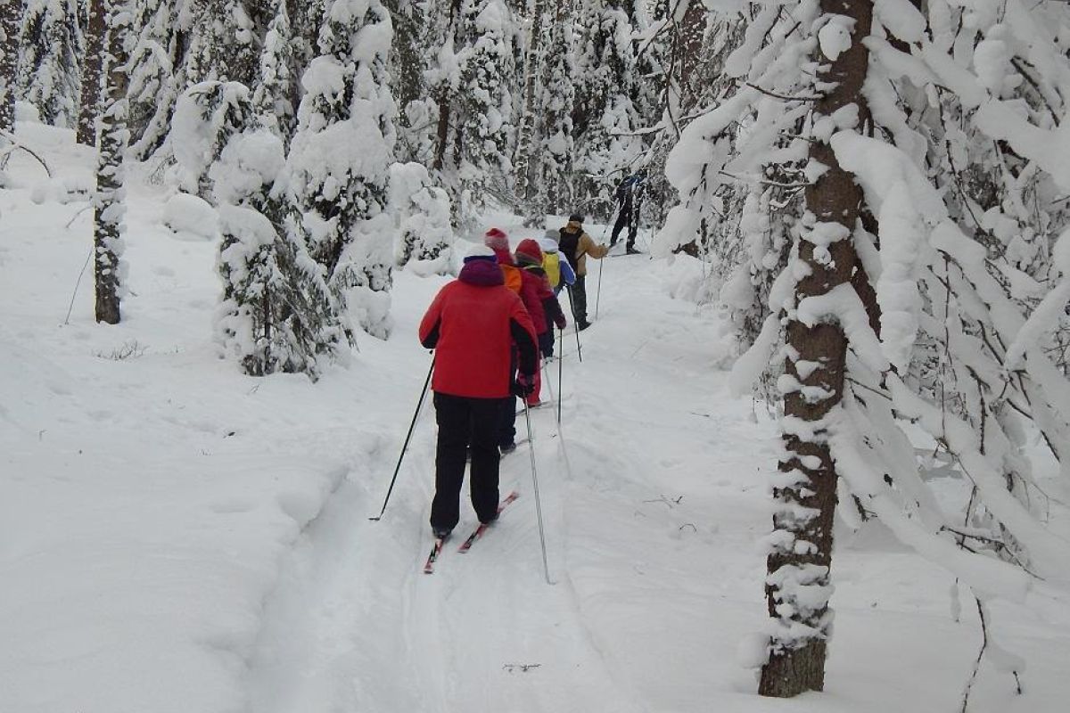 Лыжный тур «5 дней в Приладожье»