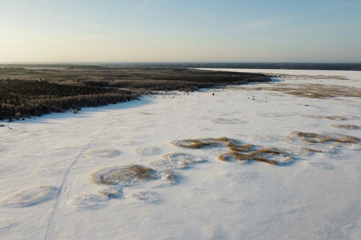 Заповедный выходной (тур для школьников в Поморье)