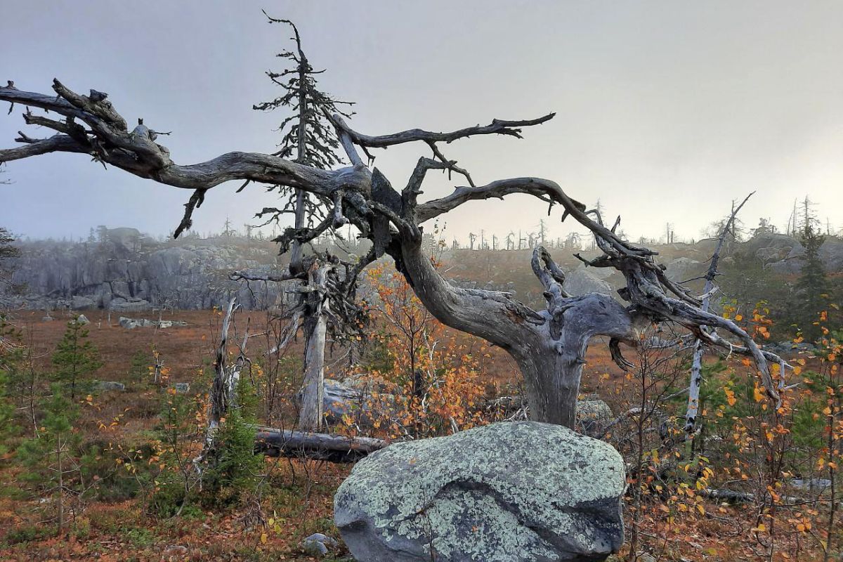 Экскурсия к мистической горе Воттоваара