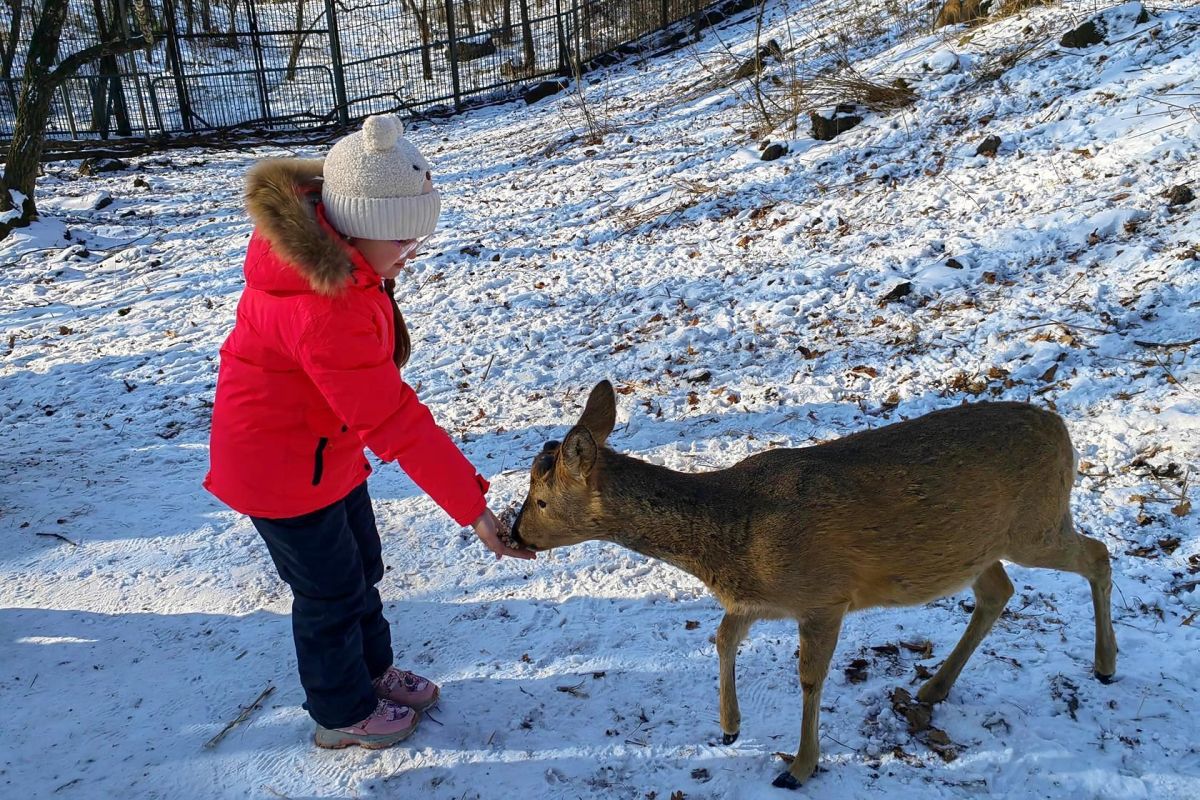 Владивосток – город у океана