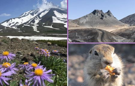 Джип-тур к Авачинскому вулкану (гора Верблюд) + «Черный пляж»