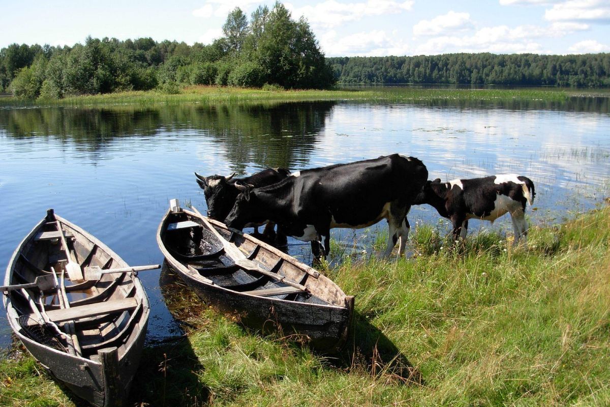 Путешествие в народное судостроение «ЛОДКА-ТУР»