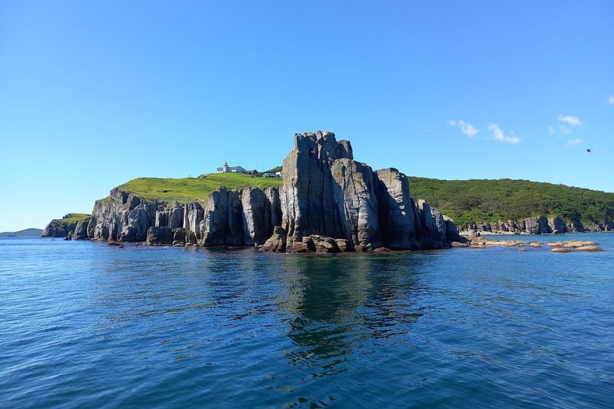 Дикая природа Приморья