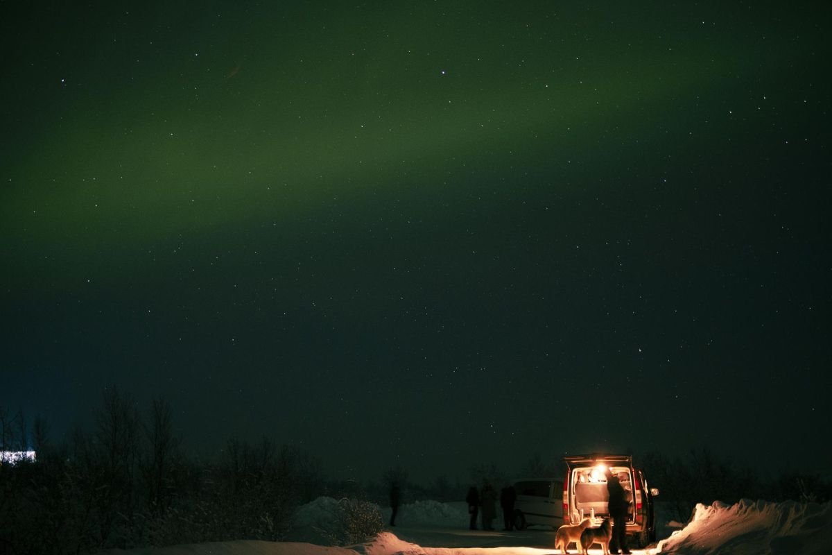 Охота за северным сиянием (Мурманск)