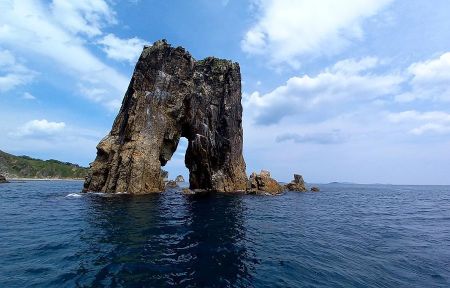 Дикая природа Приморья