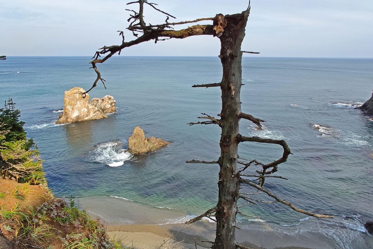 Сахалин и Кунашир