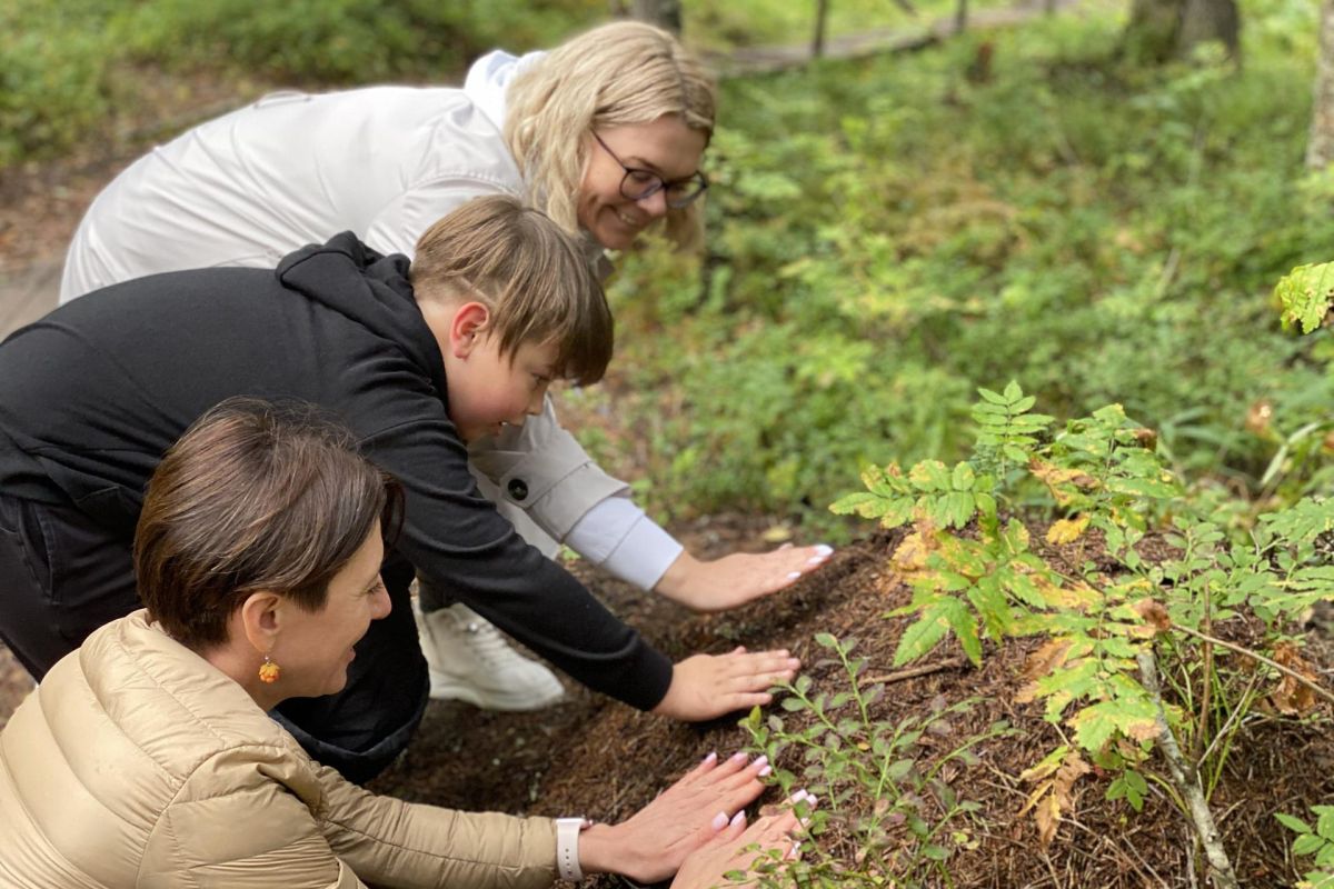Красоты Пинежья