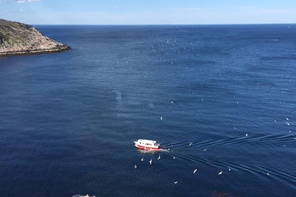 Красоты севера – летний Кольский