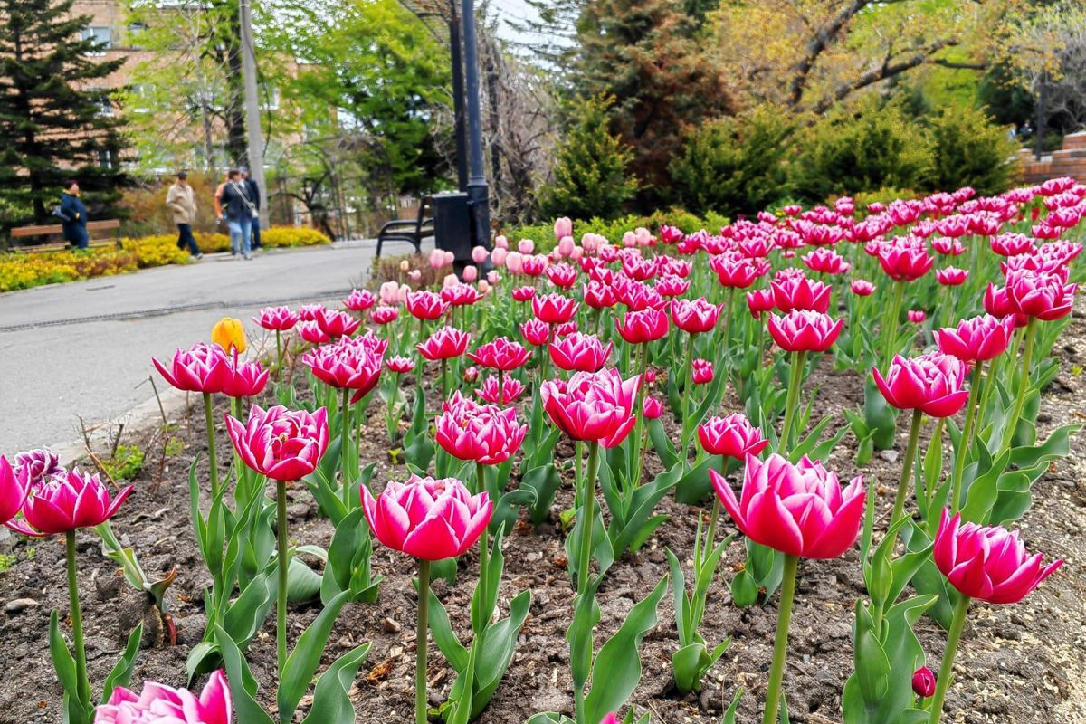 Дыхание весны в Приморье