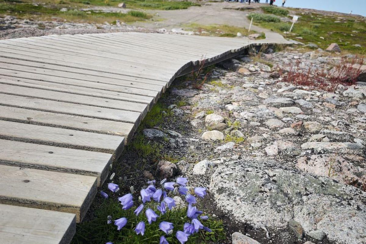 Красоты севера – летний Кольский