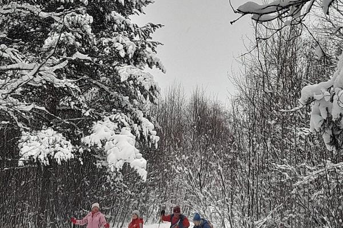 Лыжный тур по Карелии – Тало (Сойважпорог, 3 дня)