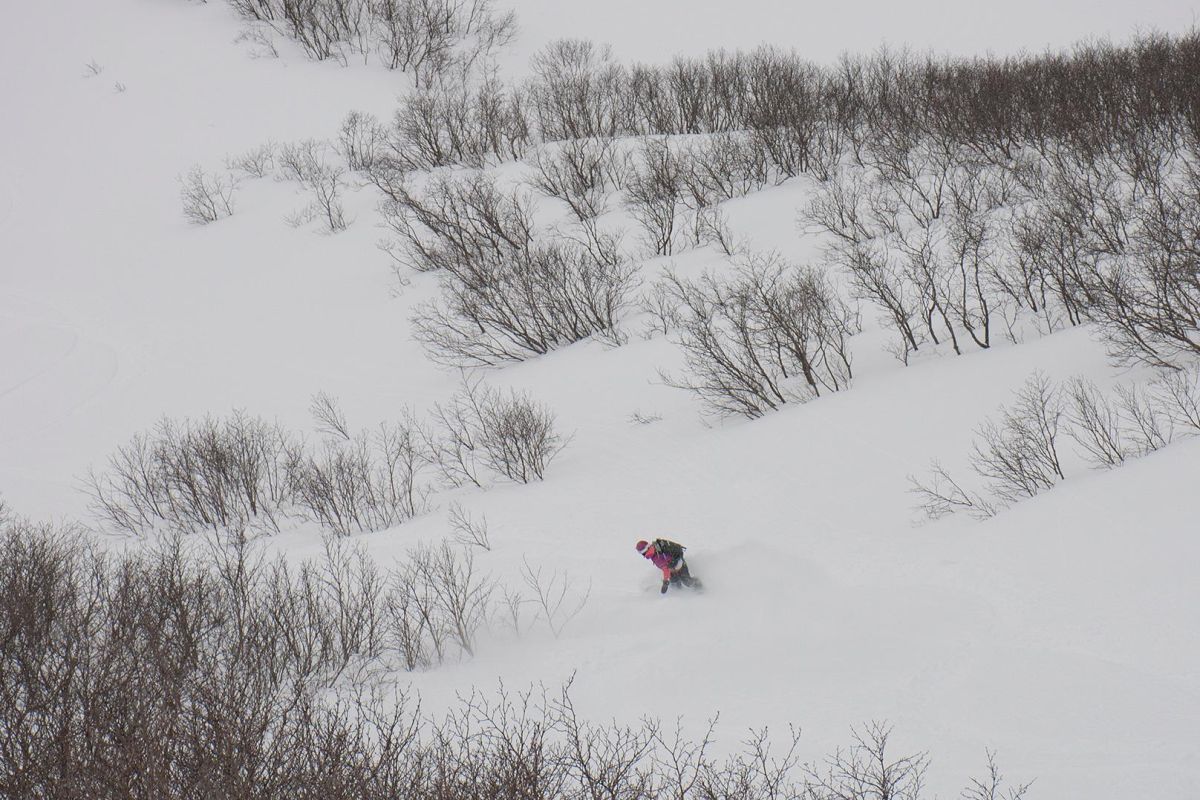 Неделя скитура