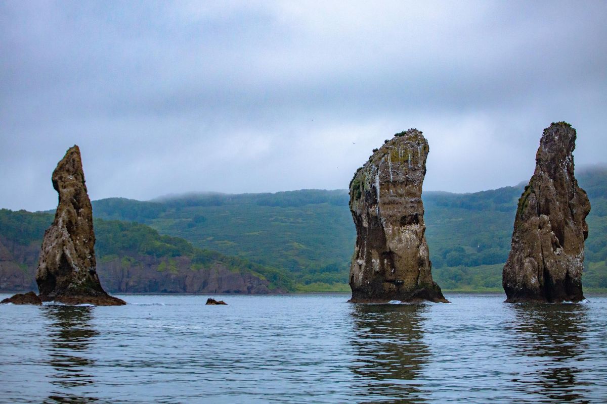 Морская прогулка к бухте Русской (Камчатка)