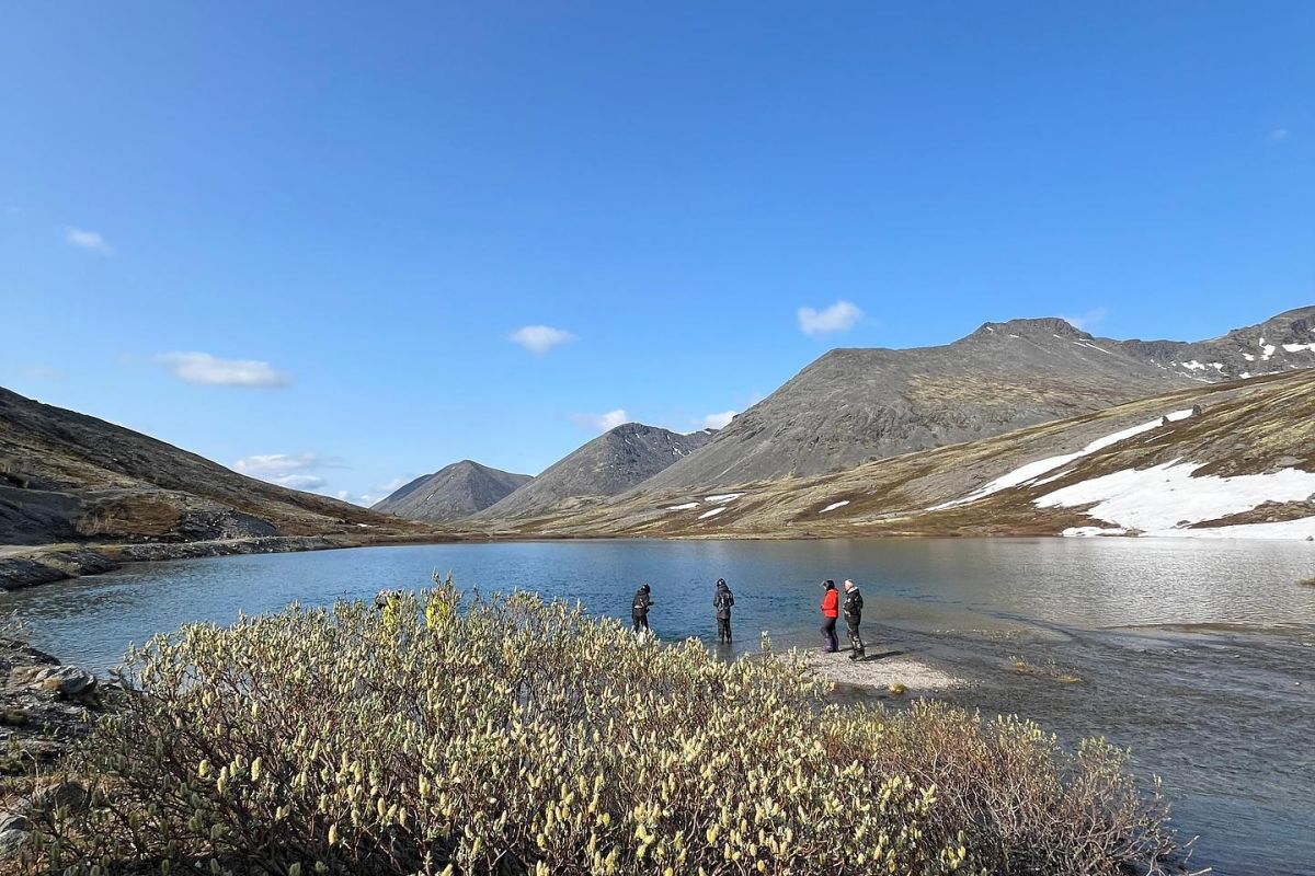 Красоты севера – летний Кольский
