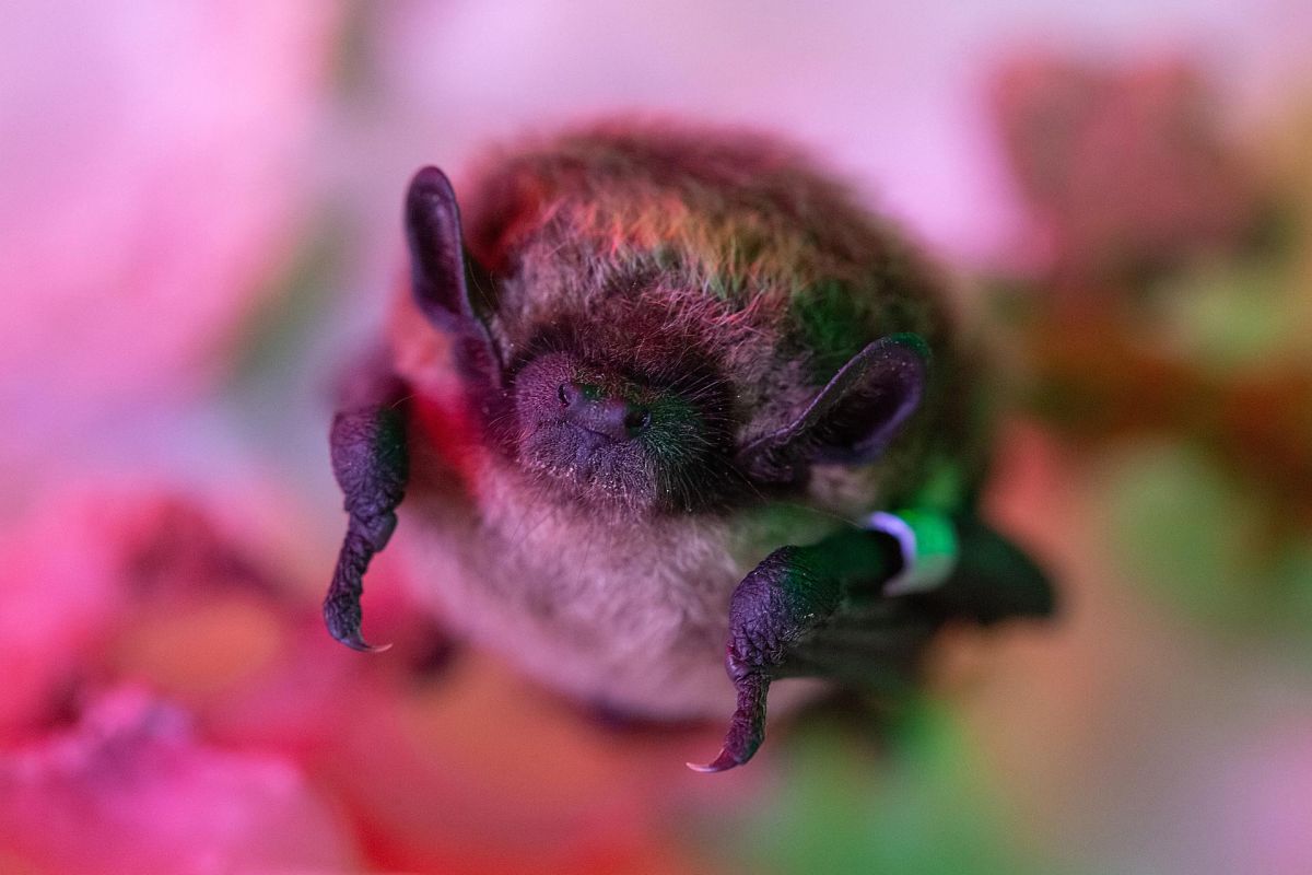 Красоты Пинежья