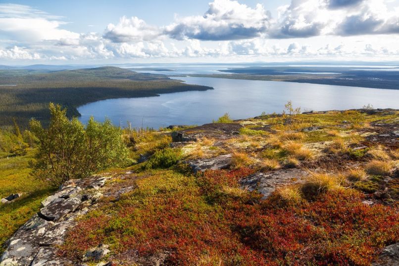 Лапландский заповедник 