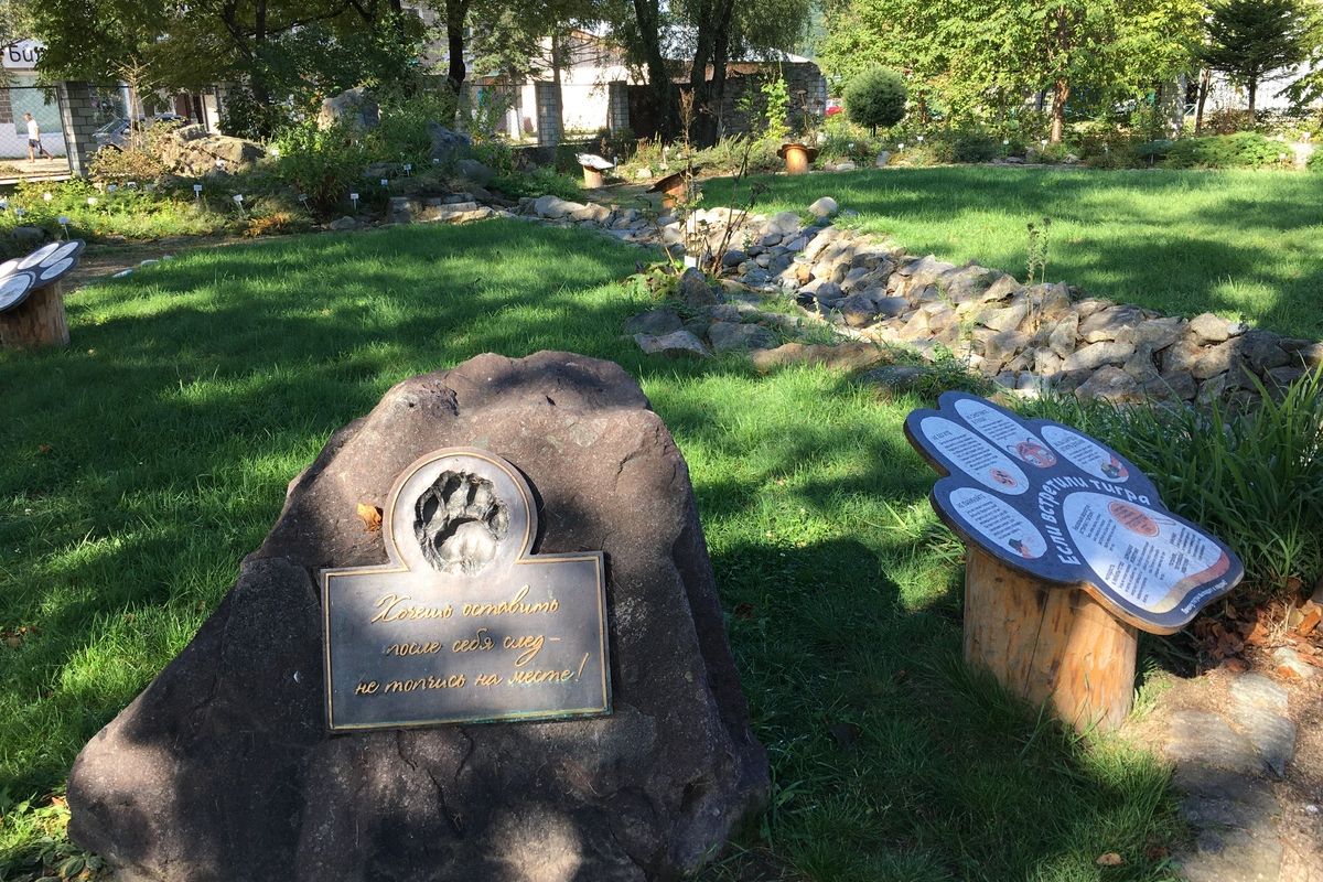 Сихотэ-Алинский заповедник: по следам амурского тигра!