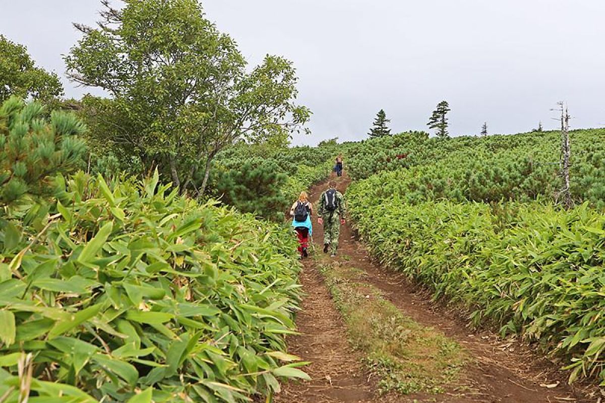 Три острова: Сахалин – Итуруп – Кунашир
