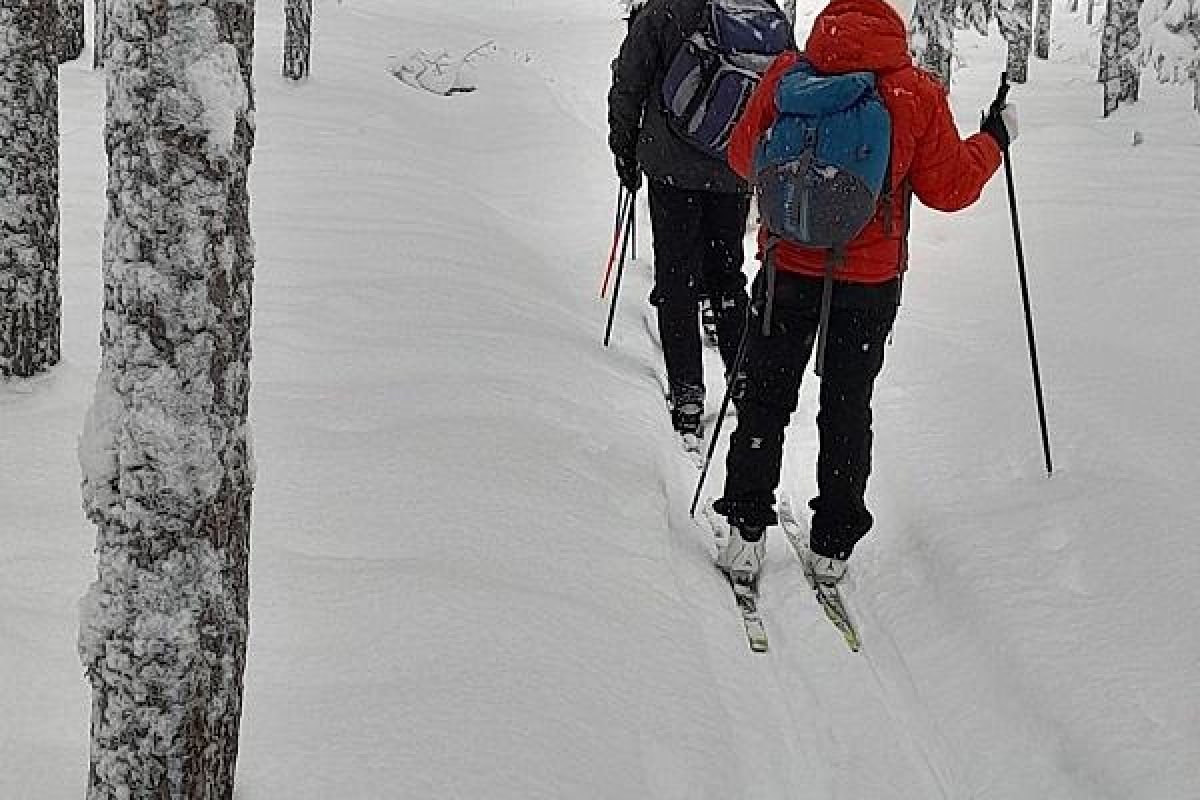 Лыжный тур по Карелии – Тало (Сойважпорог, 3 дня)