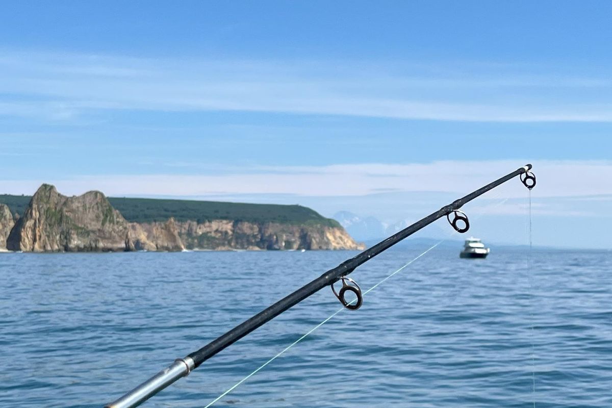 Камчатка: летний экспресс