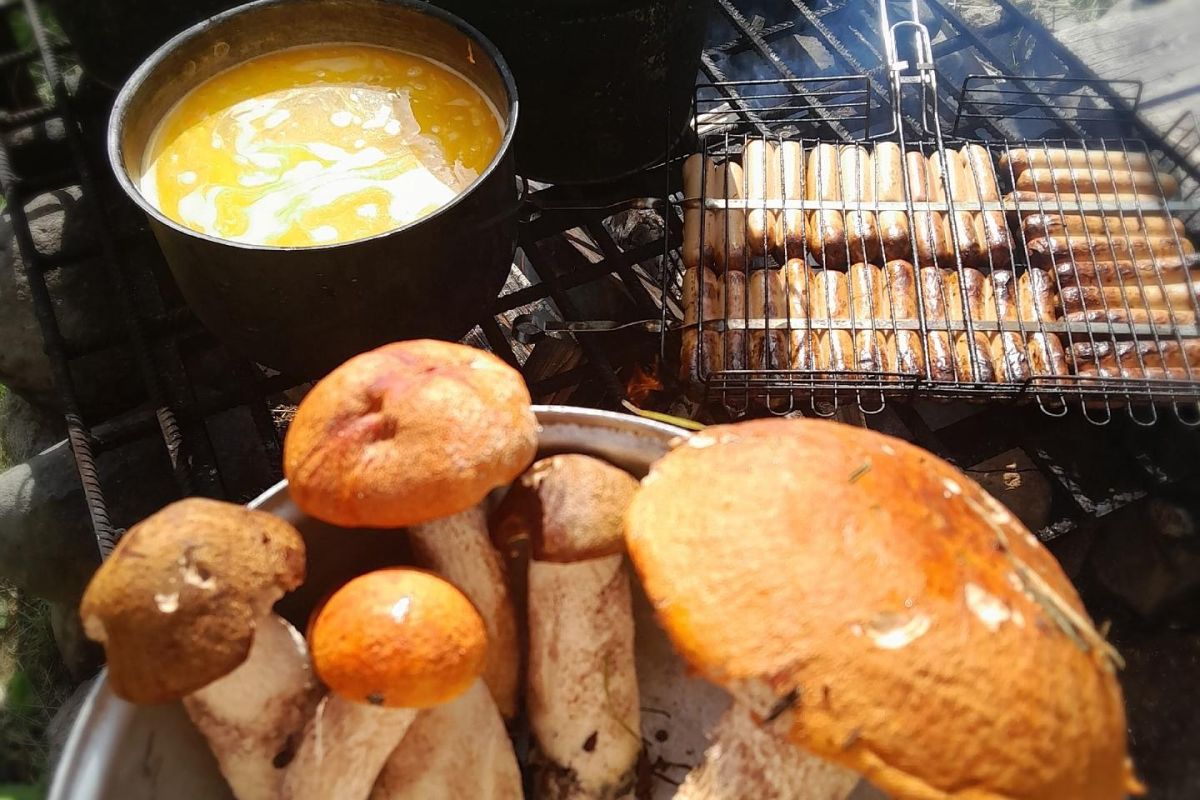 Тур для школьников «Выходные в лесной избушке»