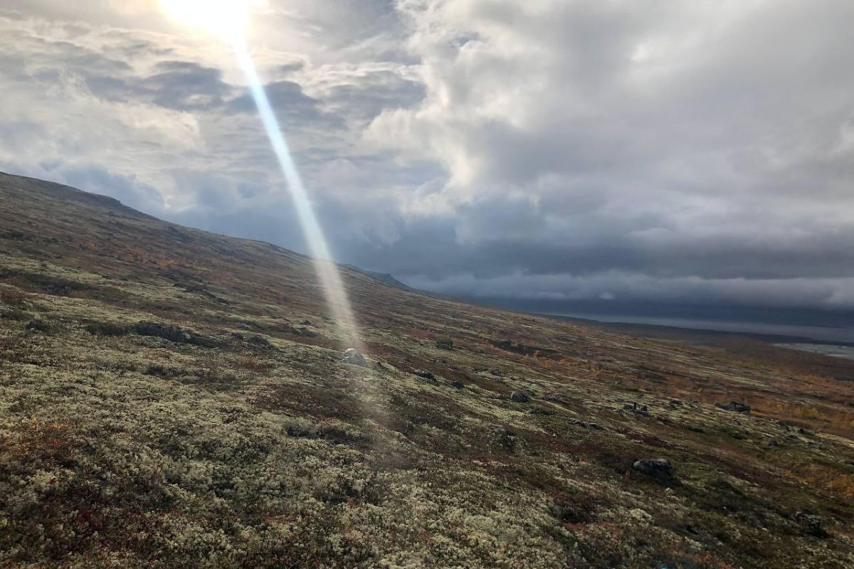 По волнам Арктики (4 дня на Кольском)