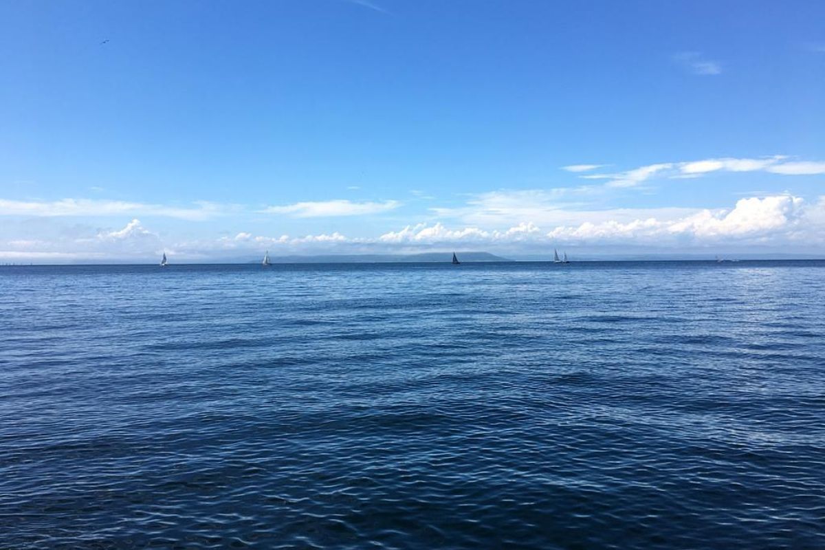 Дикая природа Приморья