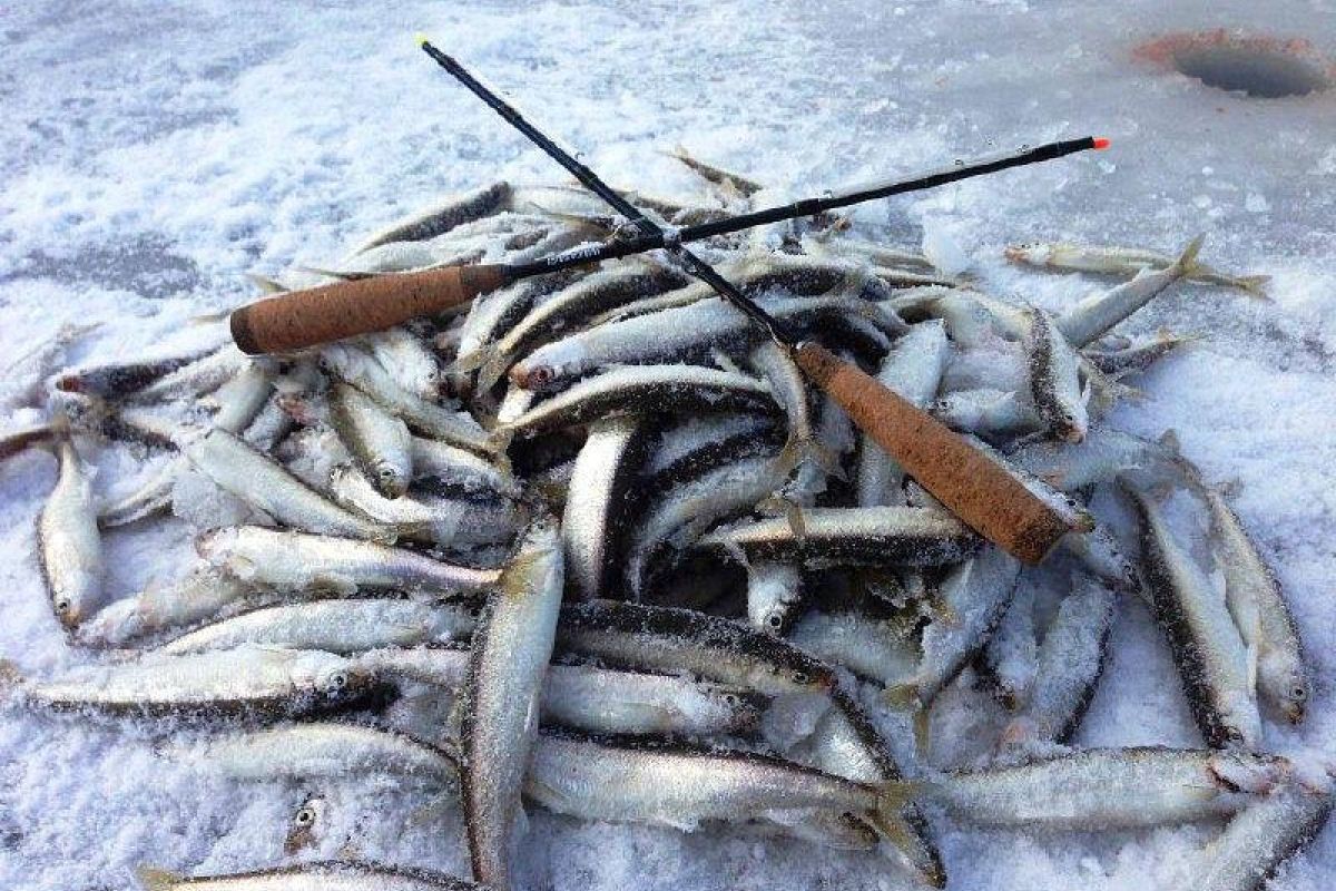 Яркая зима на Сахалине (5 дней)