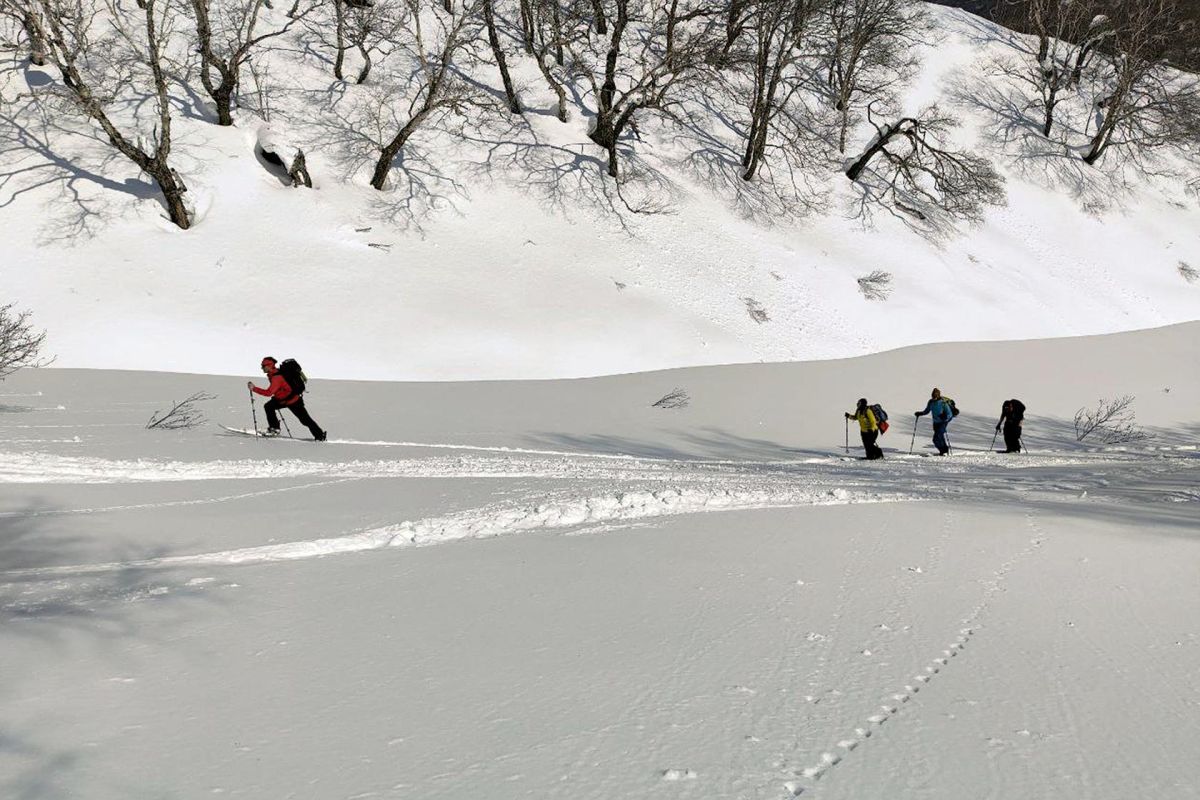 Неделя скитура