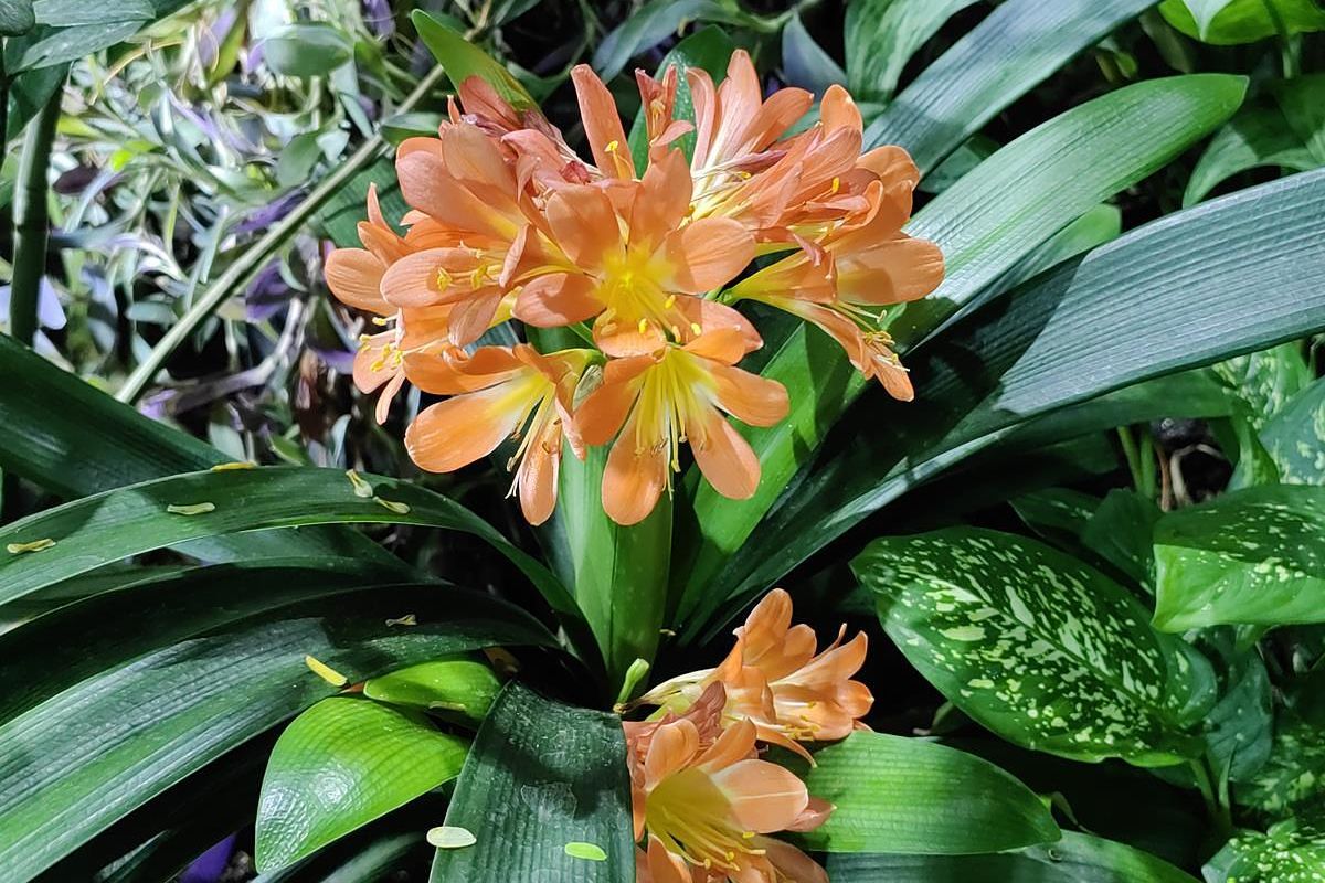 Дыхание весны в Приморье