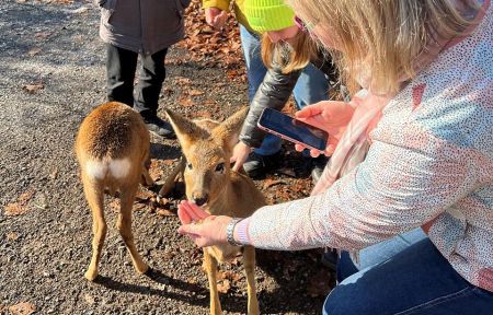 Семейное путешествие во Владивосток