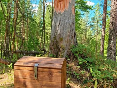 Квест-экскурсия "Дремучий лес"