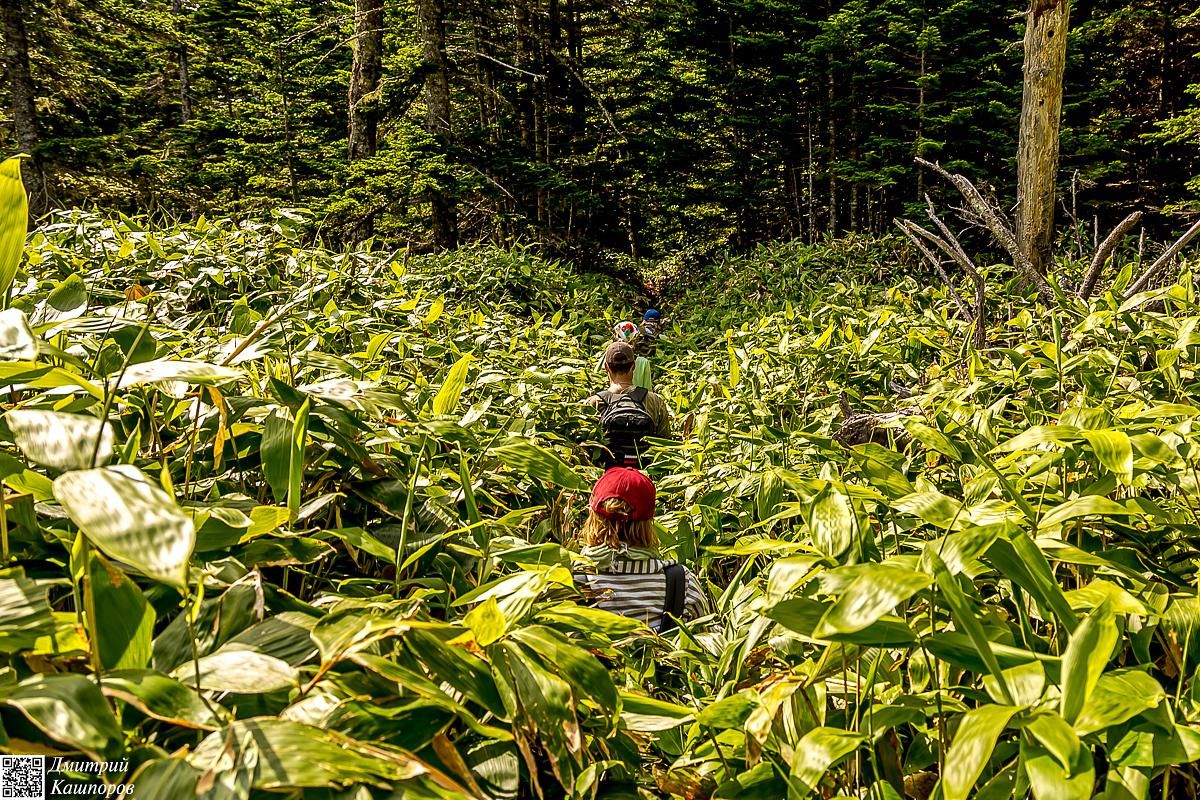 Итуруп и Кунашир. Путешествие на другую планету