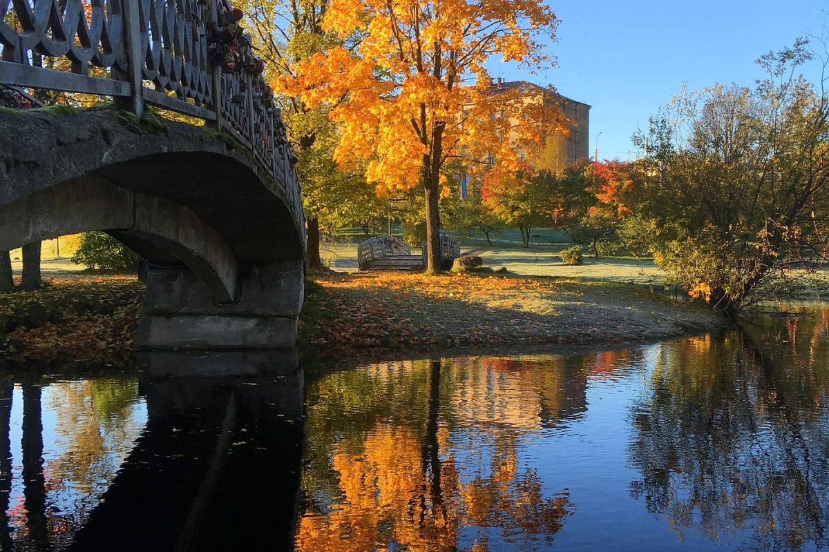 Карельские денёчки в Петрозаводске