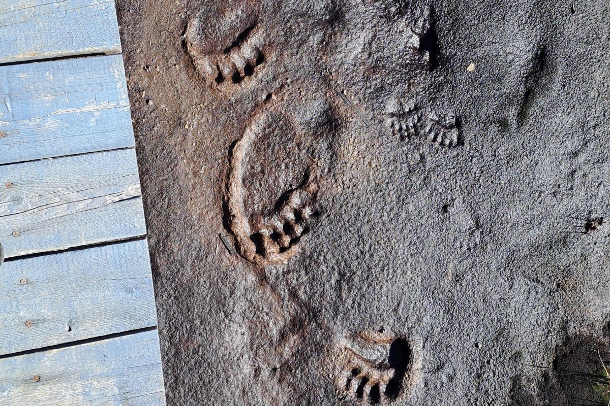 Долина гейзеров – Узон – Налычево (на вертолете)